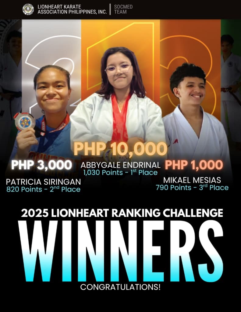 Official results infographic of the 2025 Lionheart Ranking Challenge.